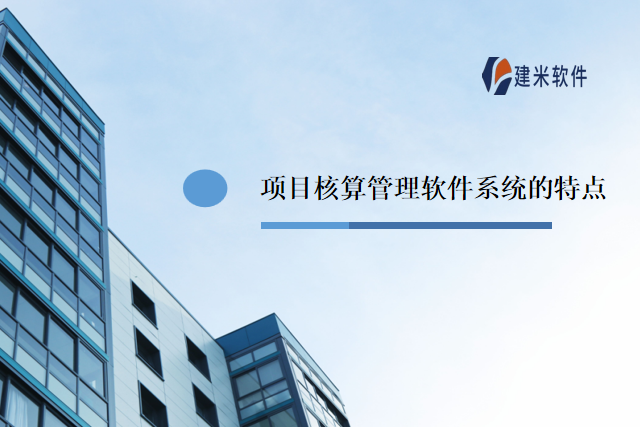 项目核算管理软件系统的特点