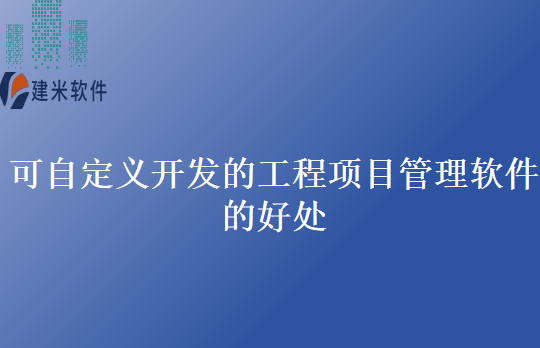 可自定义开发的工程项目管理软件的好处
