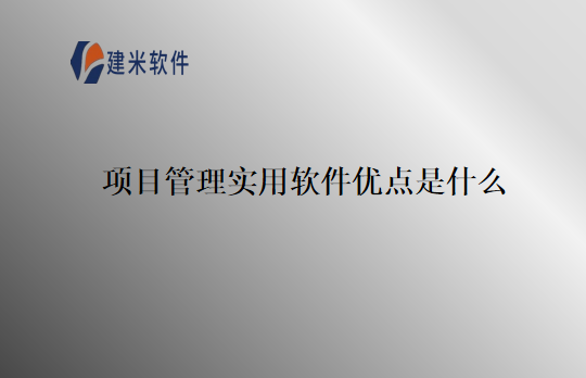 项目管理实用软件优点是什么
