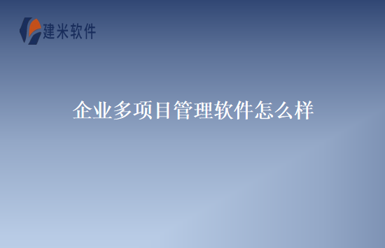 企业多项目管理软件怎么样