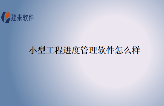 小型工程进度管理软件怎么样