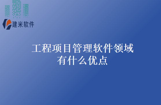 工程项目管理软件领域有什么优点