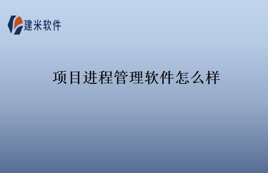 项目进程管理软件怎么样