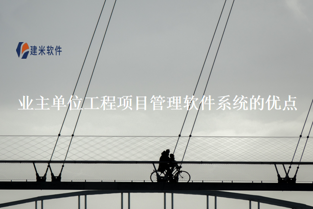 业主单位工程项目管理软件系统的优点