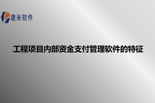 工程项目内部资金支付管理软件的特征