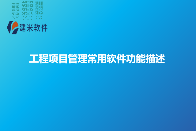 工程项目管理常用软件功能描述