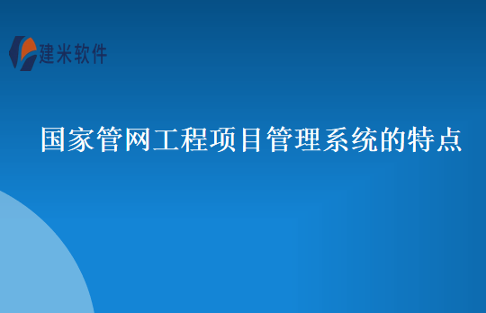 国家管网工程项目管理系统的特点
