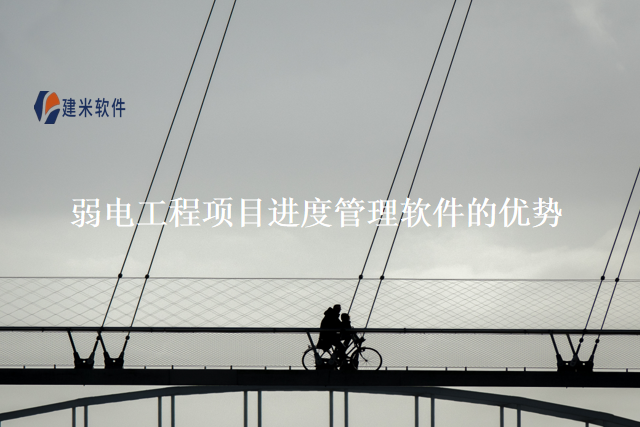 弱电工程项目进度管理软件的优势
