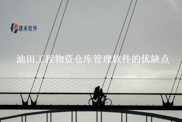 油田工程物资仓库管理软件的优缺点