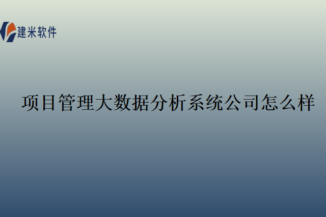 项目管理大数据分析系统公司怎么样