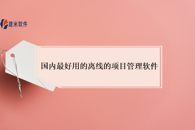 国内最好用的离线的项目管理软件