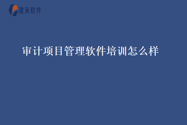 审计项目管理软件培训怎么样