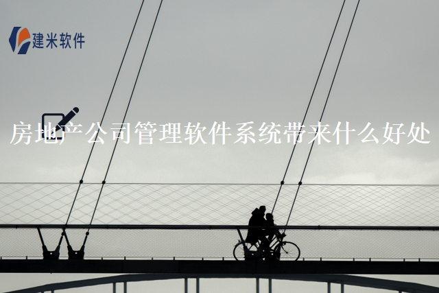 房地产公司管理软件系统带来什么好处