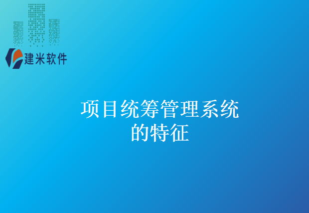 项目统筹管理系统的特征