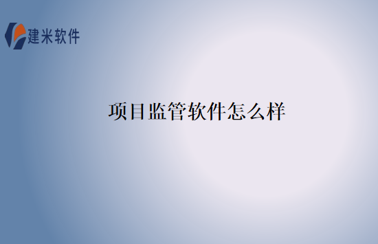 项目监管软件怎么样