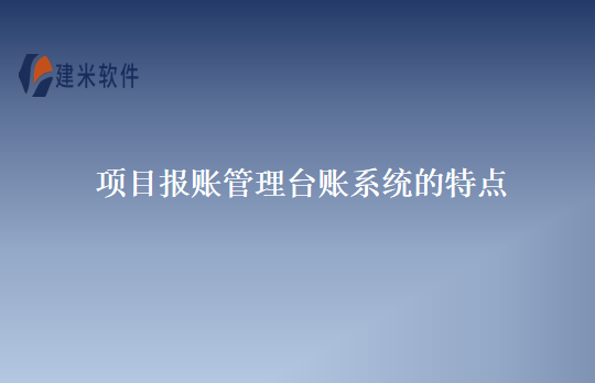 项目报账管理台账系统的特点