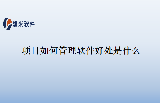 项目如何管理软件好处是什么