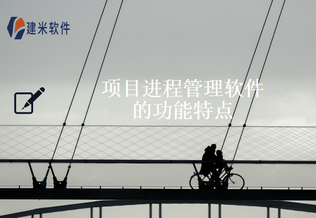 项目进程管理软件的功能特点