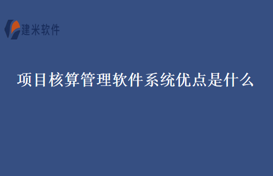 项目核算管理软件系统优点是什么