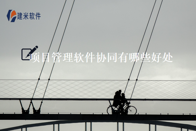 项目管理软件协同有哪些好处
