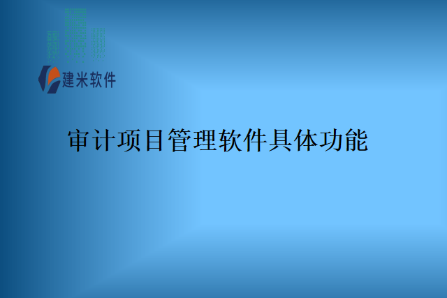 审计项目管理软件具体功能