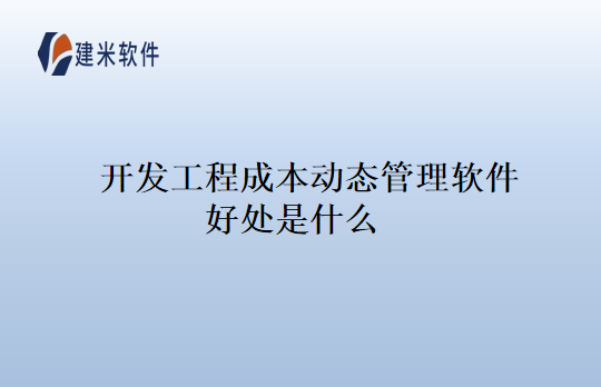 开发工程成本动态管理软件好处是什么
