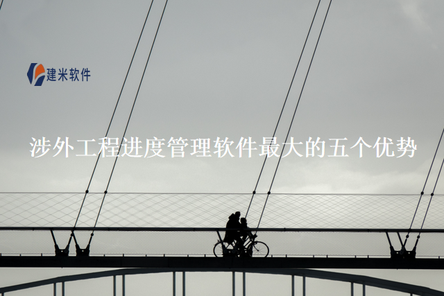 涉外工程进度管理软件最大的五个优势