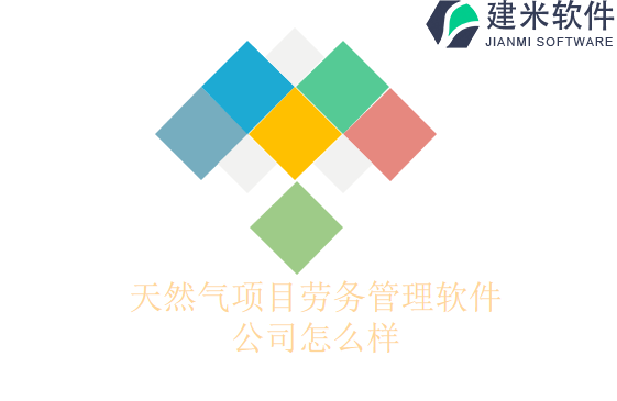 天然气项目劳务管理软件公司怎么样