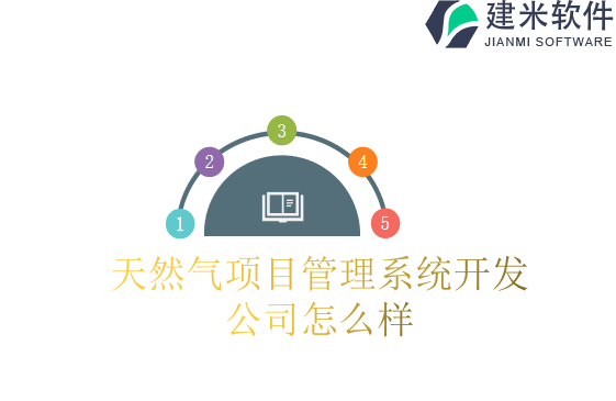 天然气项目管理系统开发公司怎么样