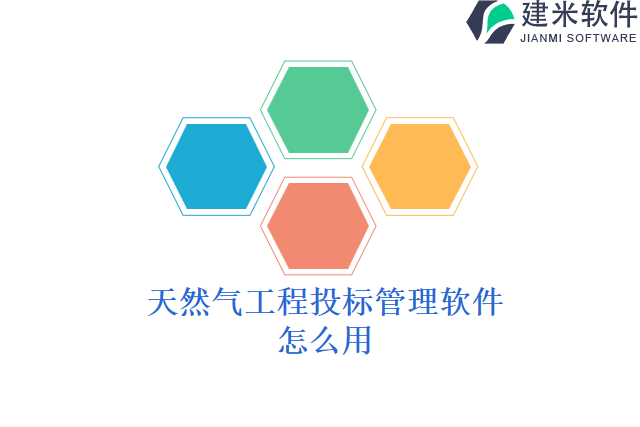 天然气工程投标管理软件怎么用