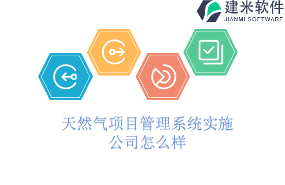 天然气项目管理系统实施公司怎么样