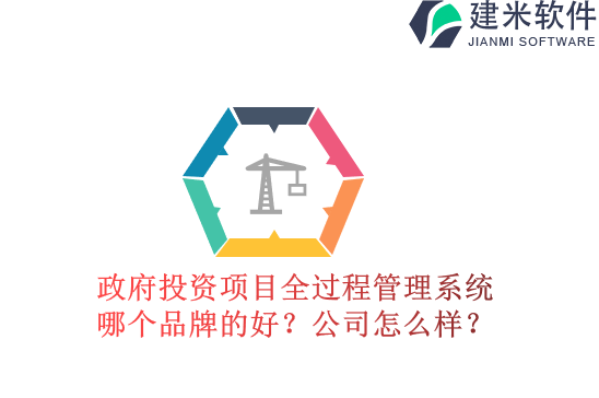 政府投资项目全过程管理系统哪个品牌的好？公司怎么样？