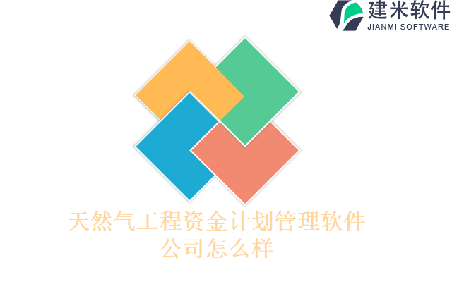 天然气工程资金计划管理软件公司怎么样