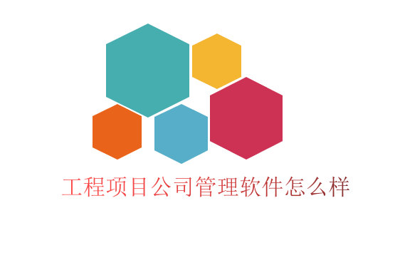 工程项目公司管理软件怎么样