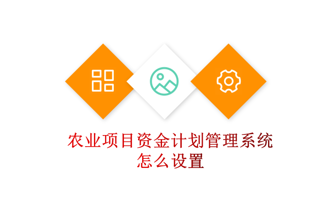 农业项目资金计划管理系统怎么设置