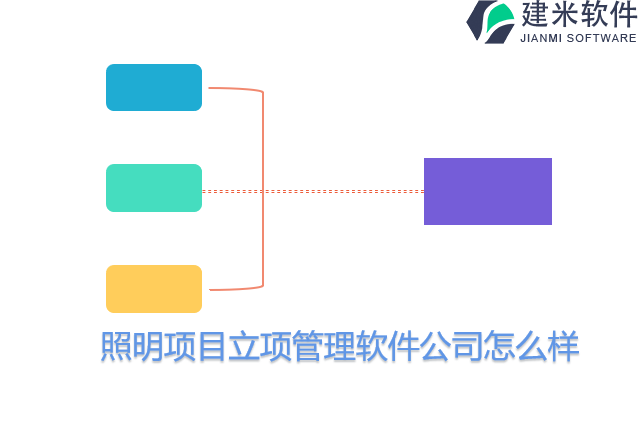 照明项目立项管理软件公司怎么样