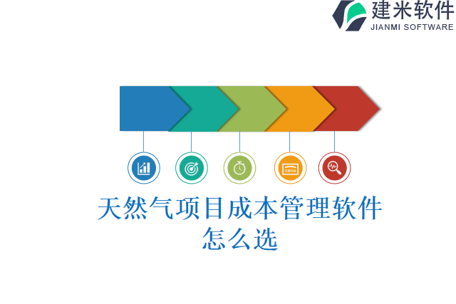 天然气项目成本管理软件怎么选