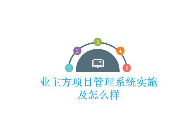 业主方项目管理系统实施及怎么样