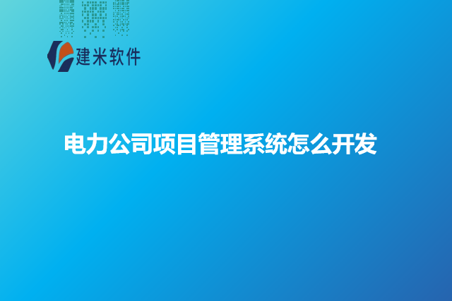 电力公司项目管理系统怎么开发