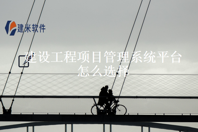 建设工程项目管理系统平台怎么选择