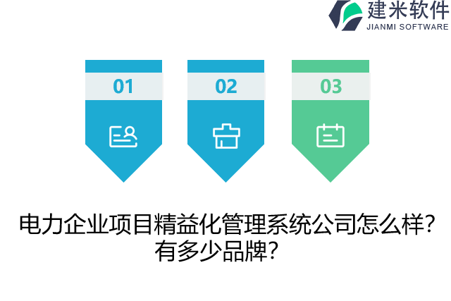 电力企业项目精益化管理系统公司怎么样？有多少品牌？