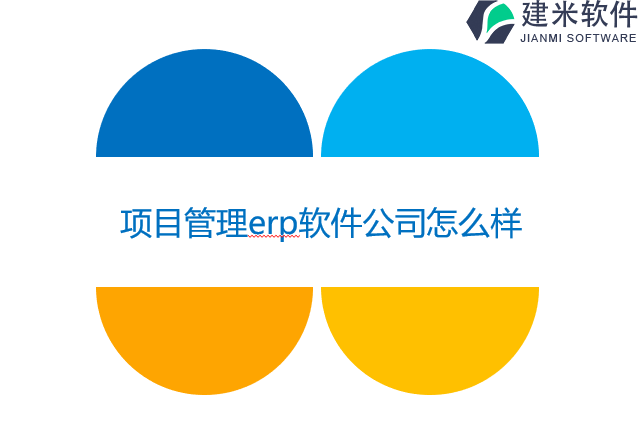项目管理erp软件公司怎么样
