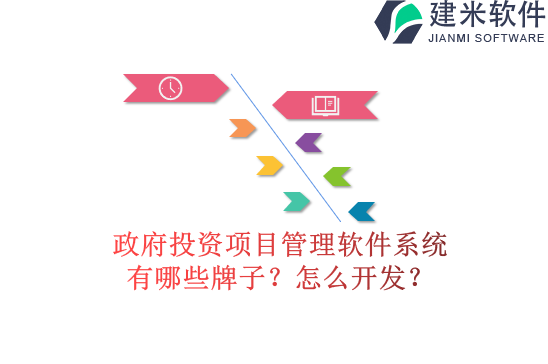 政府投资项目管理软件系统有哪些牌子？怎么开发？