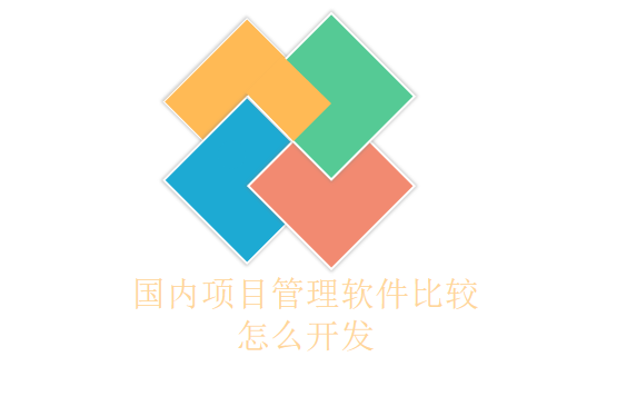 国内项目管理软件比较怎么开发