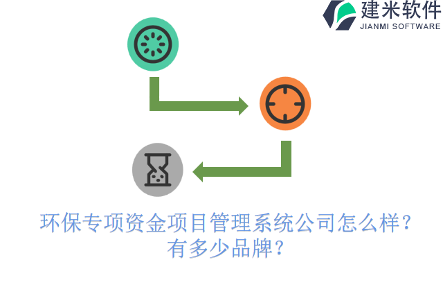 环保专项资金项目管理系统公司怎么样？有多少品牌？
