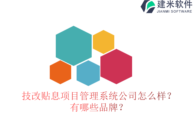 技改贴息项目管理系统公司怎么样？有哪些品牌？