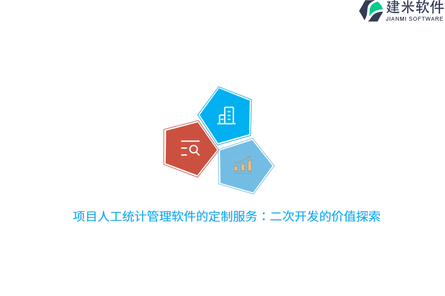 项目人工统计管理软件的定制服务：二次开发的价值探索