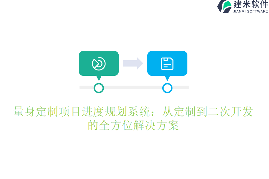 量身定制项目进度规划系统：从定制到二次开发的全方位解决方案