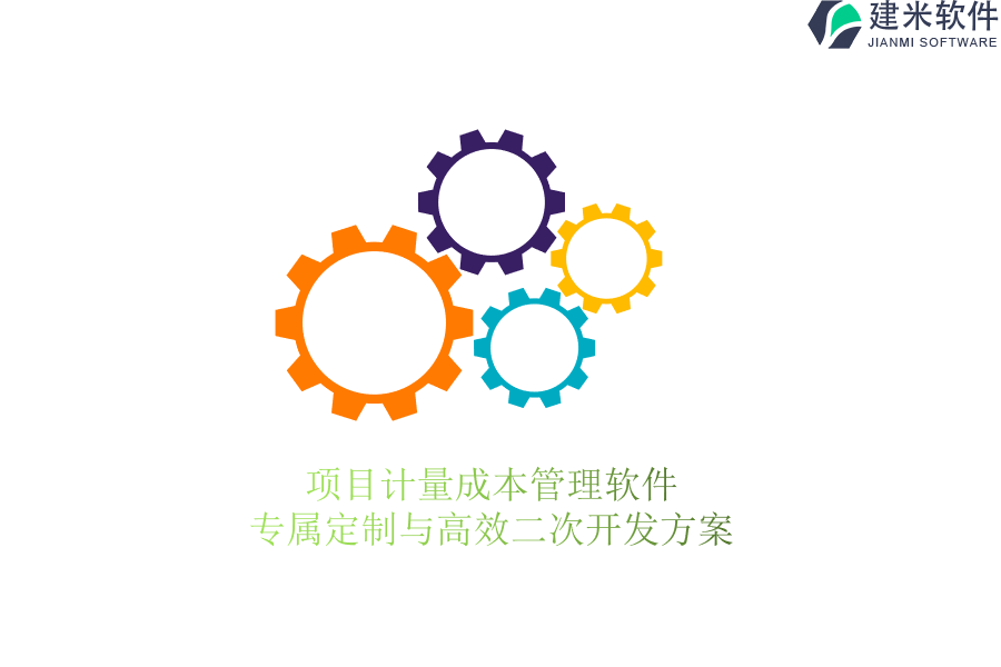 项目计量成本管理软件：专属定制与高效二次开发方案