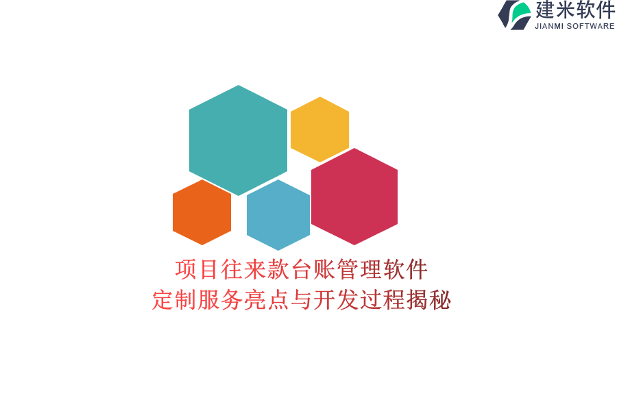 项目往来款台账管理软件：定制服务亮点与开发过程揭秘
